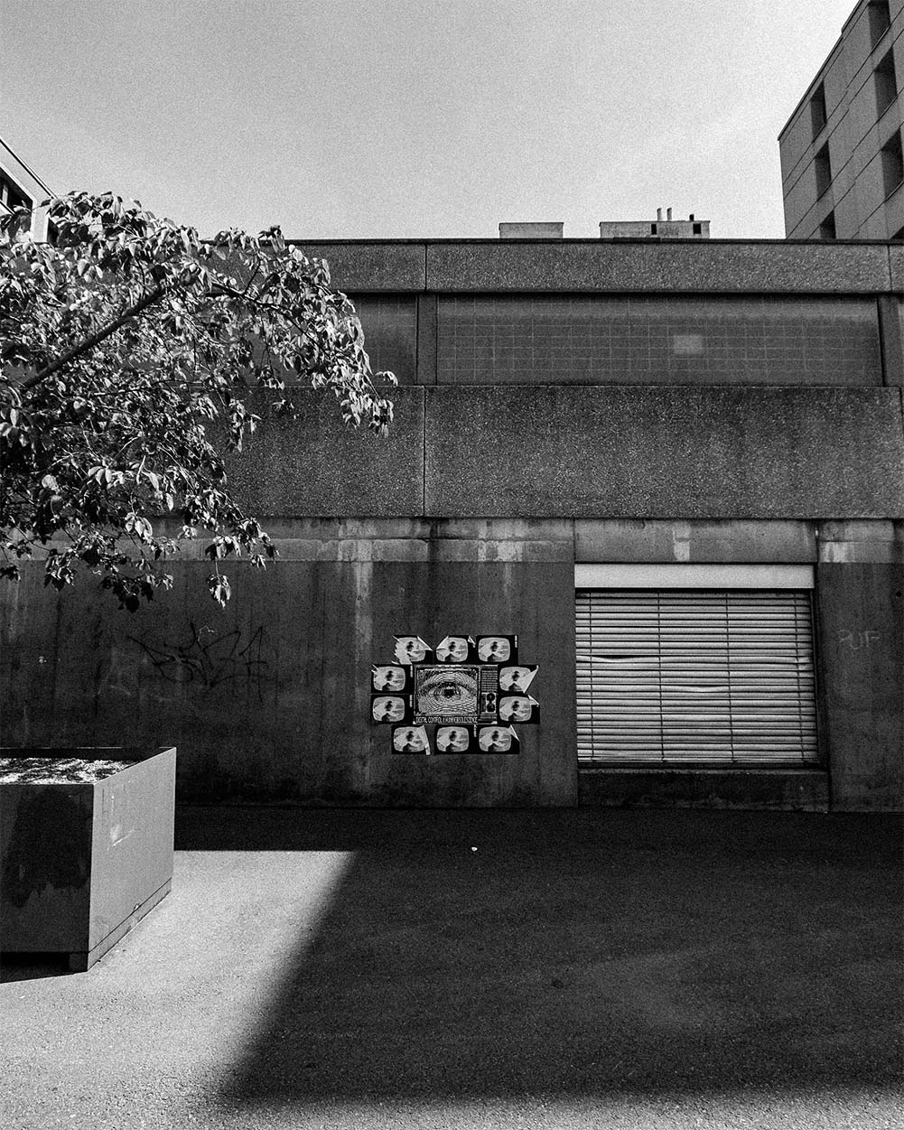 Image for Project Video 1